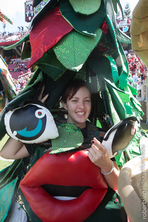 Stanford Homecoming 2014